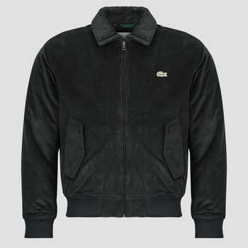 Lacoste Cazadora Blouson aviateur rembourré en velours côtelé para hombre