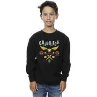 harry potter jersey quidditch bludgers quaffles para nino