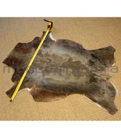 piel de blesbock
