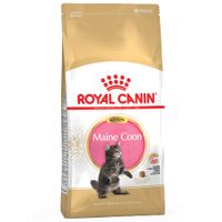 royal canin maine coon kitten - 4kg