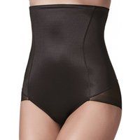 secrets silhouette high waisted briefs