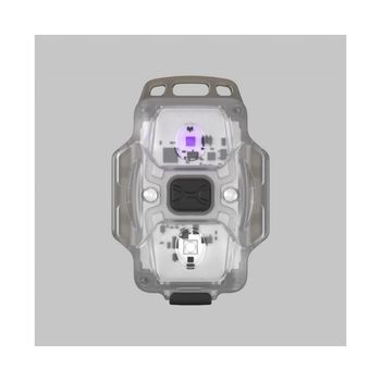 Armytek Crystal Wuv Grey Flashlight