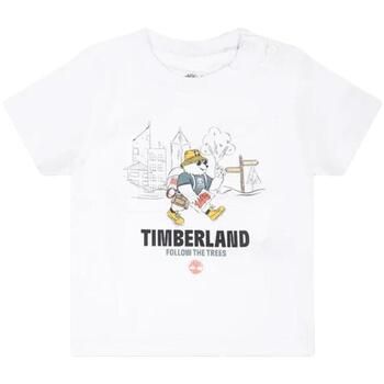 Timberland Camiseta T60106 para niño