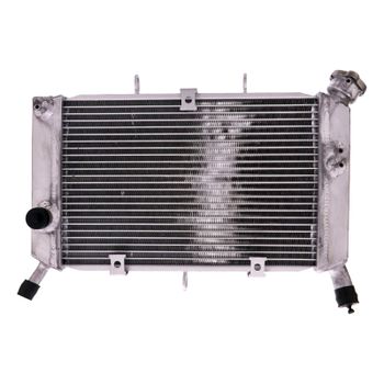 Refrigerador motor Yamaha XJ6 agua