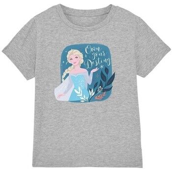 Disney Tops y Camisetas Own Your Destiny para niño