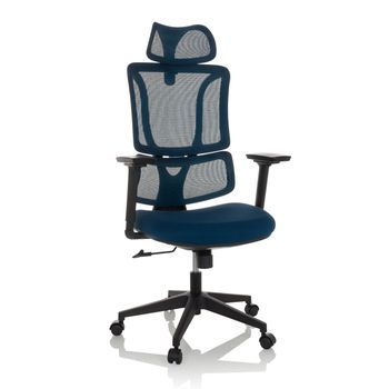 Silla De Oficina / Silla Giratoria Ergomy Asiento Tela/respaldo Malla Azul Mybuero