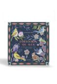 coleccion de aves