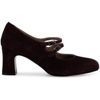 melluso zapatos de tacon x5214q-264976 para mujer