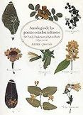 antología de las poetas estadounidenses de emily dickinson a sylv ia p