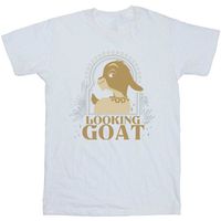 wish camiseta looking goat para nino