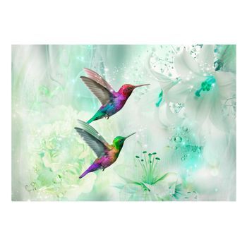 Papel Pintado 3d - Colourful Hummingbirds (green) (400x280 Cm)