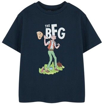 The Bfg Camiseta Roald Dahl para niño
