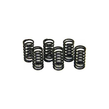 Muelle de embrague Ducati 38mm kit DucaBike negro