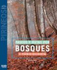 paseos y rutas por bosques i. pirineo occidental