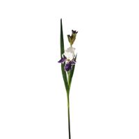 tallo de iris artificial con hojas violetas y blancas h105