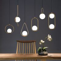 lampara colgante led moderna de hierro dorado y negro lampara de techo con jaula metalica para sala de estar restaurante tienda bar decoracion