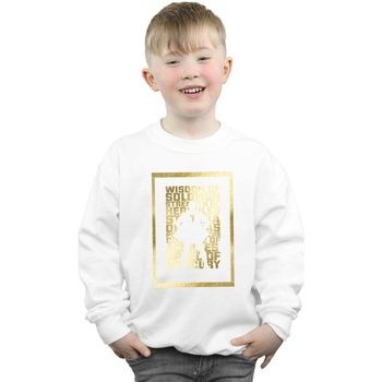 Dc Comics Jersey BI32832 para niño