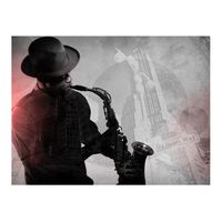 papel pintado 3d - frontman 400x309 cm