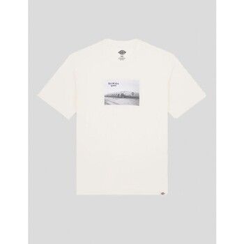 Dickies Camiseta CAMISETA SEVIER SS TEE EGRET para hombre