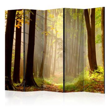 Biombo - Mysterious Forest Path Ii (225x172 Cm)
