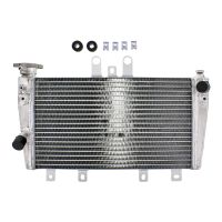 refrigerador motor triumph speed triple 1050 -11 agua