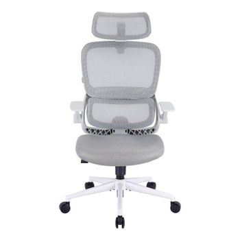 Silla Ergonómica SIHOO B100 SE Soporte Lumbar Reposabrazos Abatibles Gris