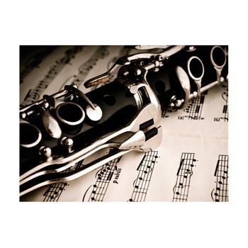 Papel Pintado 3d - Clarinete Y Notas Musicales (350x270 Cm)
