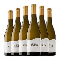 pedregosa vino blanco lineo penedes joven 75 cl 12 vol pack de 6 unidades