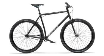 Bicicleta monovelocidad radio divide negro