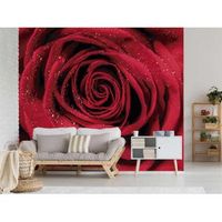 fotomural vinilo rosa rocio matinal 350 x 250 cm