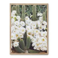 cuadro cactus in flower
