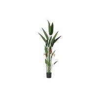 planta poliester pp 75x75x180 ave del praiso verde