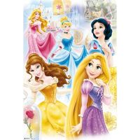 erik maxi poster disney princesas grupo 915x61cm