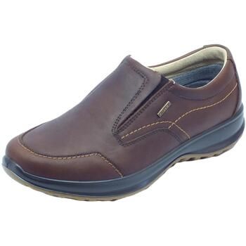 Grisport Zapatillas de senderismo 8615OV Wood para hombre