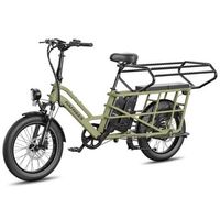 bicicleta electrica fafrees ff20 cuv asiento doble infantil bici 24ah 0-12 anos carga 100kg bastidor acero anticorrosivo-verde