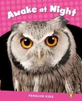 level 2 awake at night clil