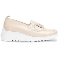 wonders zapatos dance para mujer