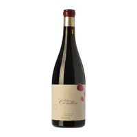 descendientes j palacios vino tinto villa de corullon bierzo crianza botella magnum 15 l 135 vol