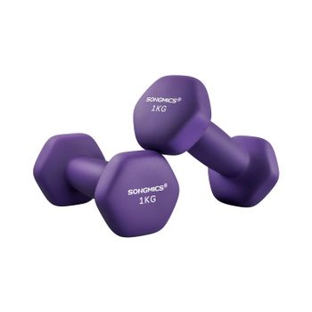 Mancuernas Hexagonales con Superficie de Vinilo para Fitness Ejercicio, Violeta Ceniza / 2 x 1kg
