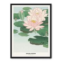 cuadro water lily