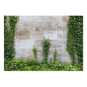 Papel Pintado 3d - The Forgotten Garden (400x280 Cm)