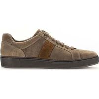 pius gabor deportivas moda 10401404 para hombre