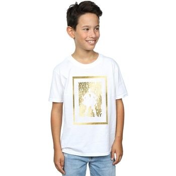 Dc Comics Tops y Camisetas BI33626 para niño