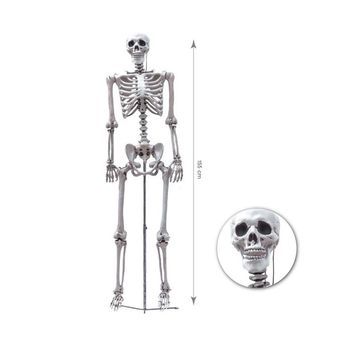 Esqueleto Humano Completo De 155 Cm