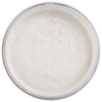 lottie london translucent setting powder 15g various shades - true translucent