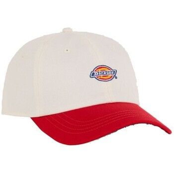 Dickies Gorra Hardwick 2 Tone Egret para hombre