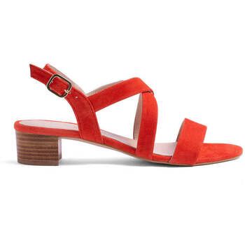 Narf Sandalias 14006 piel ante para mujer