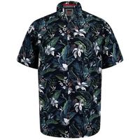 duke camisa manga corta corden d555 para hombre