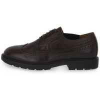 nerogiardini zapatos bajos 303001301 para hombre