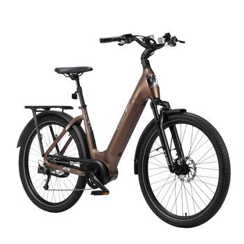 Bicicleta Eléctrica Ttgo Z5, Motor Central De 250 W, Batería De 36 V 18 Ah, Marrón
